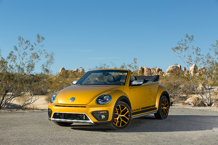 2016_beetle_dune_5776